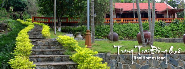 homestay, bavi homestead - một ngày trải nghiệm thú vị tại trang trại đồng quê ba vì