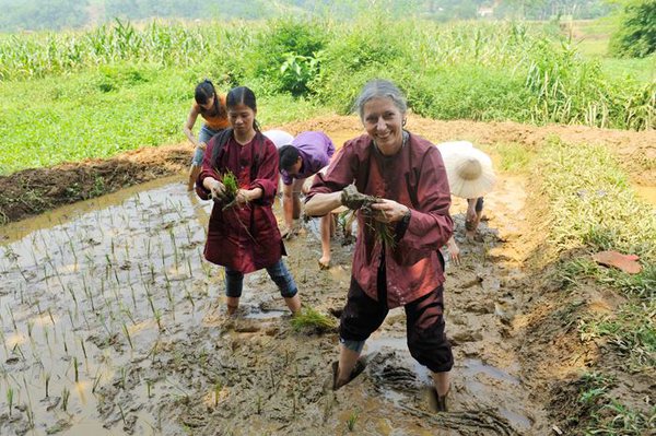 homestay, bavi homestead - một ngày trải nghiệm thú vị tại trang trại đồng quê ba vì