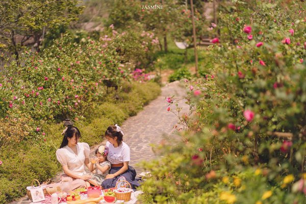 homestay, rose farm homestay - vườn hồng thơ mộng giữa núi rừng bạt ngàn tây bắc