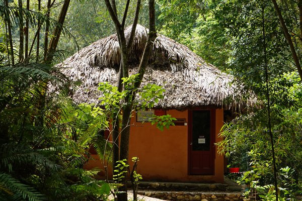 Ecolodge Panhou Village - Ngôi nhà trong khu vườn thiên nhiên hoang sơ