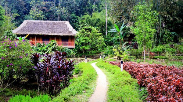 homestay, ecolodge panhou village - ngôi nhà trong khu vườn thiên nhiên hoang sơ