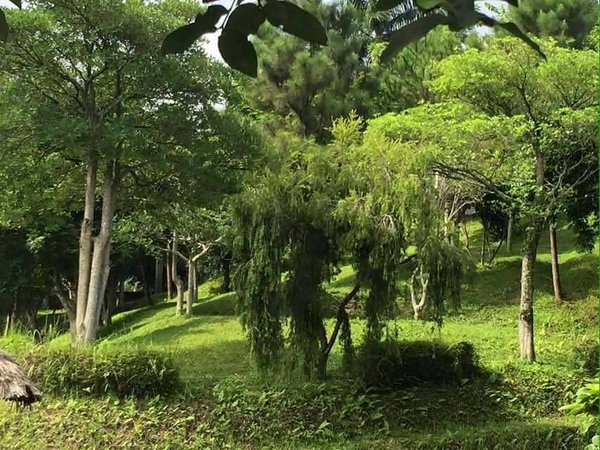 homestay, green hill villa - không gian nghỉ dưỡng xanh cho cuộc sống trong lành