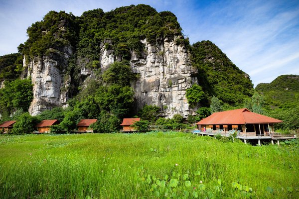 Lotus Field HomeStay Ninh Bình