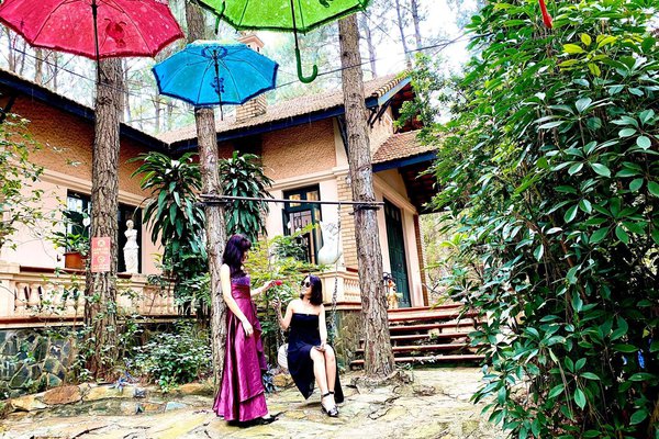 homestay, pine villa 2 - villa pháp giữa rừng thông, sự hòa trộn giữa hiện đại và cổ điển