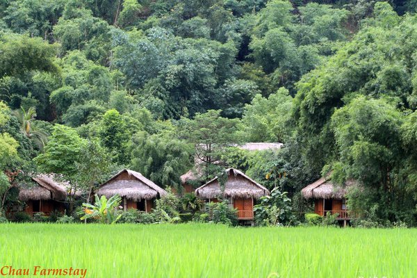 Mai Châu Farmstay - Khách sạn đẹp nhất tại Bản Lác