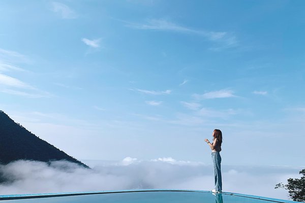 Cầu Mây Tam Đảo: Điểm checkin cực đỉnh giữa thiên nhiên đại ngàn
