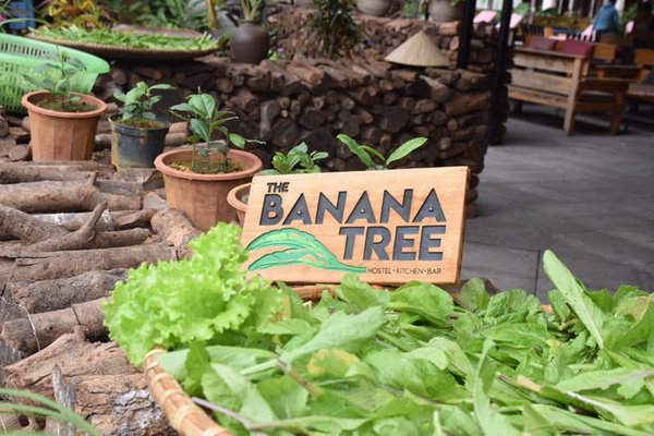 The Banana Tree Hostel - Kitchen - Bar - Điểm đến lý tưởng cho kỳ nghỉ tại Ninh Bình