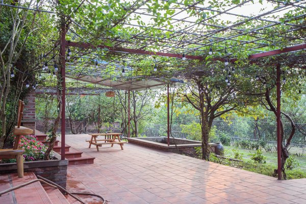 homestay, vườn quả villa - không gian thanh cảnh giữa rừng thông sóc sơn