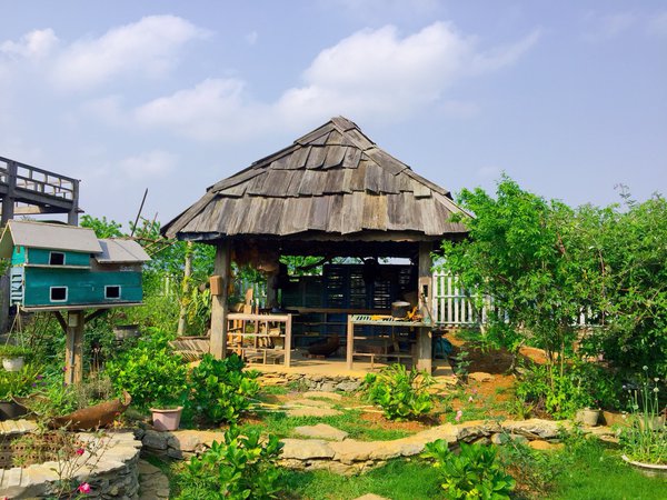homestay, the meadow mộc châu - ngôi nhà nhỏ giữa thảo nguyên xanh