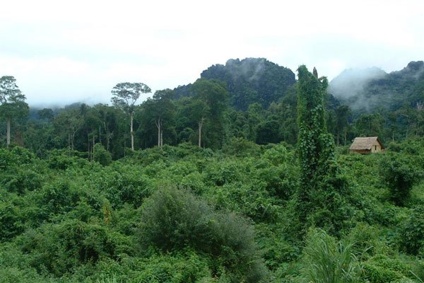 khám phá, khu bảo tồn thiên nhiên phu canh - “lá phổi xanh” giữa núi rừng hòa bình