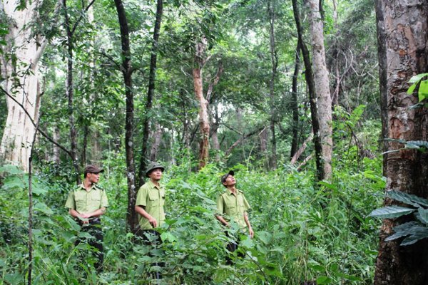 khám phá, khu bảo tồn thiên nhiên phu canh - “lá phổi xanh” giữa núi rừng hòa bình