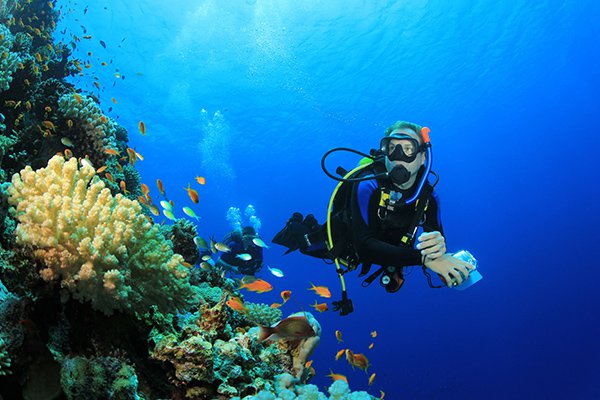 Lặn biển Đà Nẵng – Kinh nghiệm lặn an toàn, hiệu quả
