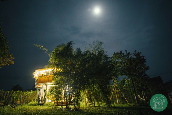 homestay, okia treehouse – nơi cư trú cho những tâm hồn mộng mơ