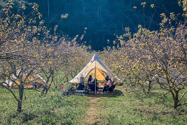 The Camp Mộc Châu – Trải nghiệm mới lạ cho chuyến du hí