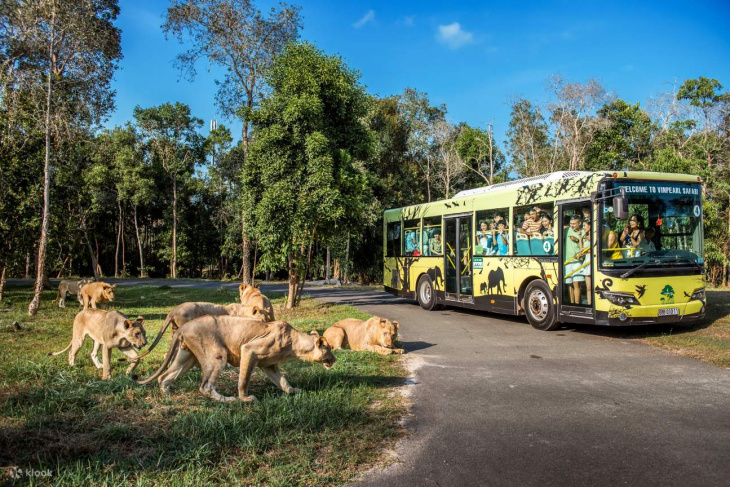 Khám phá thế giới động vật hoang dã lý thú tại Safari Phú Quốc