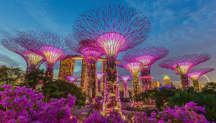 du lịch singapore bao nhiêu tiền, nên đi theo tour hay tự túc