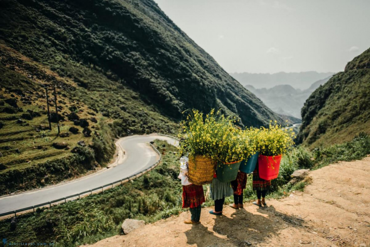 Top những điểm check-in sống ảo không thể bỏ lỡ khi đi du lịch Đồng Văn – Hà Giang