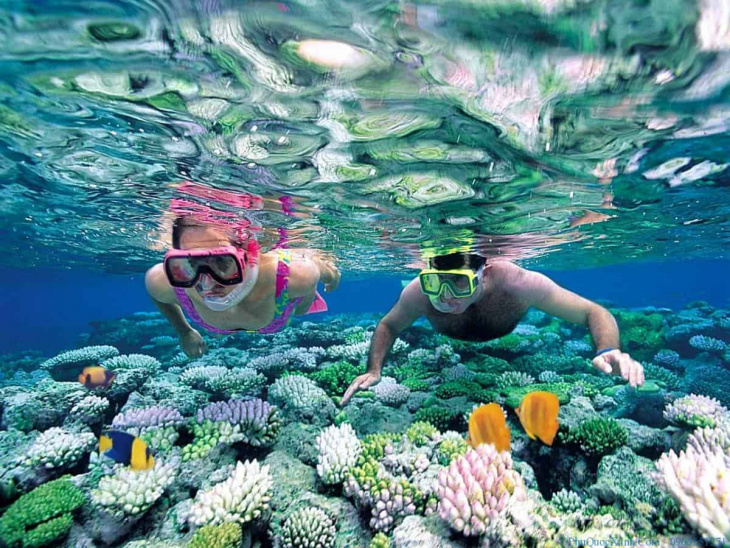 Tìm hiểu về loại hình du lịch lặn biển ngắm san hô ở Phú Quốc