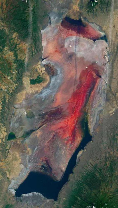 hồ tử thần, hồ natron, khám phá, trải nghiệm, hồ nước tanzania sở hữu siêu năng lực biến sinh vật thành đá