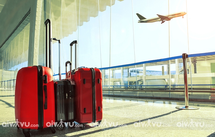 châu á, hướng dẫn mua thêm hành lý xách tay japan airlines