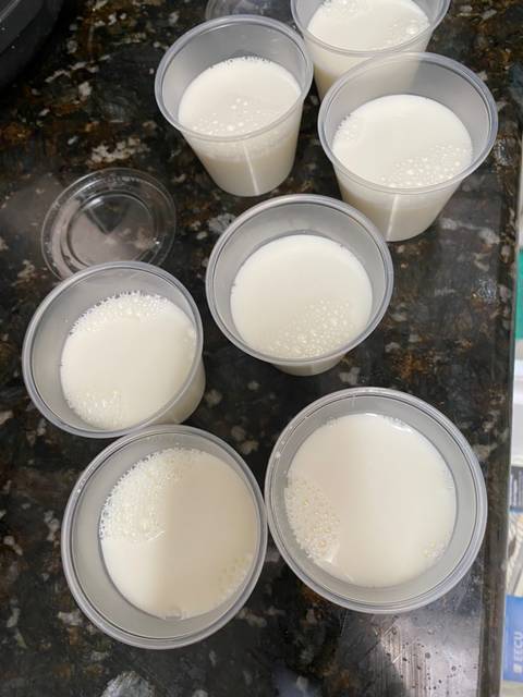 béo ngậy, sữa chua, sữa chua sữa tươi, sữa tươi không đường, tráng miệng, từ sữa chua, whipping, sữa chua béo ngậy