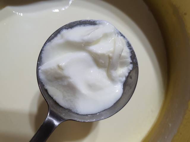 greek yogurt, sữa chua, sữa chua hy lạp, sữa chua không đường, sữa chua hy lạp