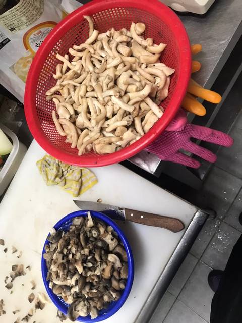 chà bông nấm sò, để lâu ăn dần, keto, nấm bào ngư, nấm sò, ruốc nấm, chà bông nấm sò (nấm bào ngư)
