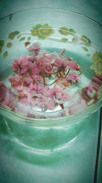 mochi, rau câu hoa anh đào, sakura, rau câu hoa anh đào (mochi sakura)