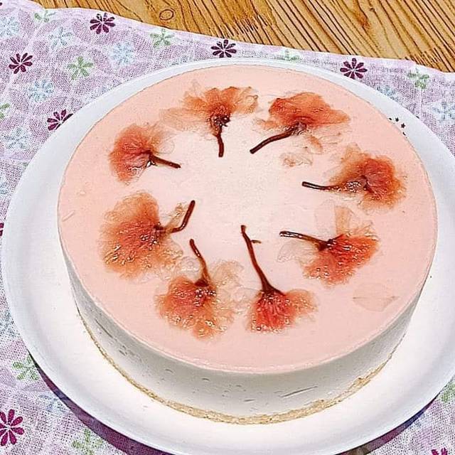 bánh ngọt, cheesecake, gelatin, sakura, strawberry cheesecake, whipping, sakura strawberry cheesecake – bánh phô mai dâu hoa anh đào