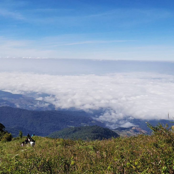 en, a detailed guide to doi inthanon national park