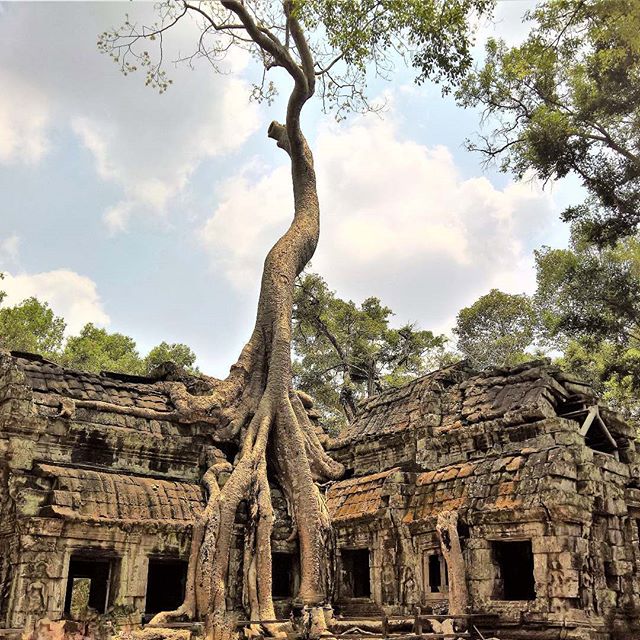 en, siem reap itinerary: the best way to plan your visit to angkor wat and other attractions