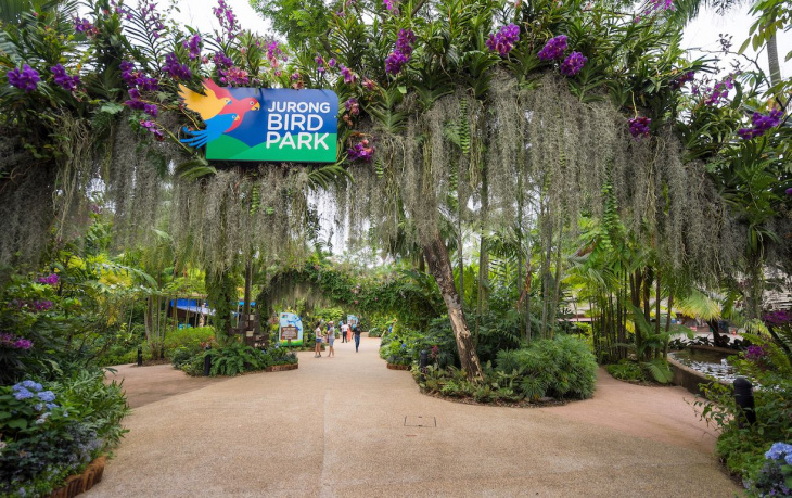 Jurong Bird Park: A Detailed Guide to Discover Asia’s Largest Bird Paradise in Singapore