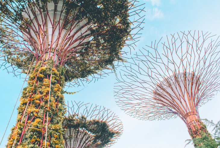 en, amazon, travel to singapore: a first-timer's guide for a fulfilling trip in singapore