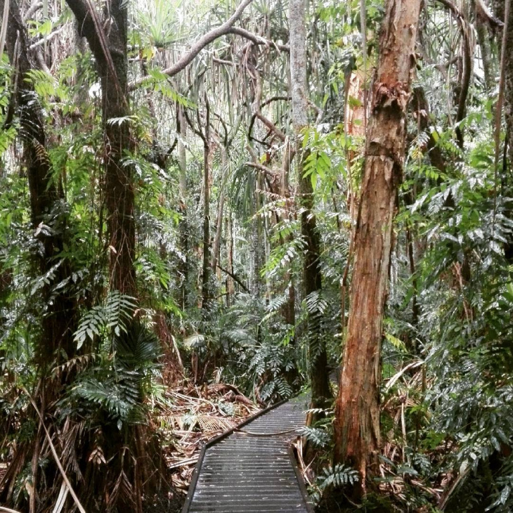 en, 25 amazing things to do in cairns
