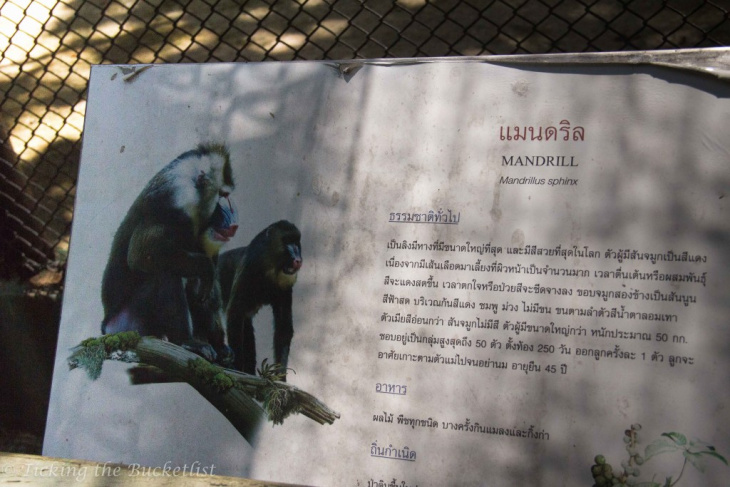 en, safari world bangkok: a comprehensive guide to explore thailand's most famous safari park