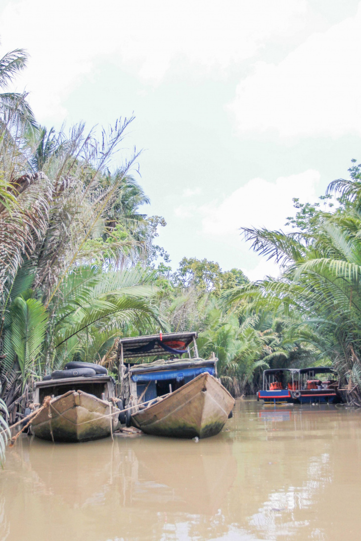 en, best 20 things to do in mekong delta