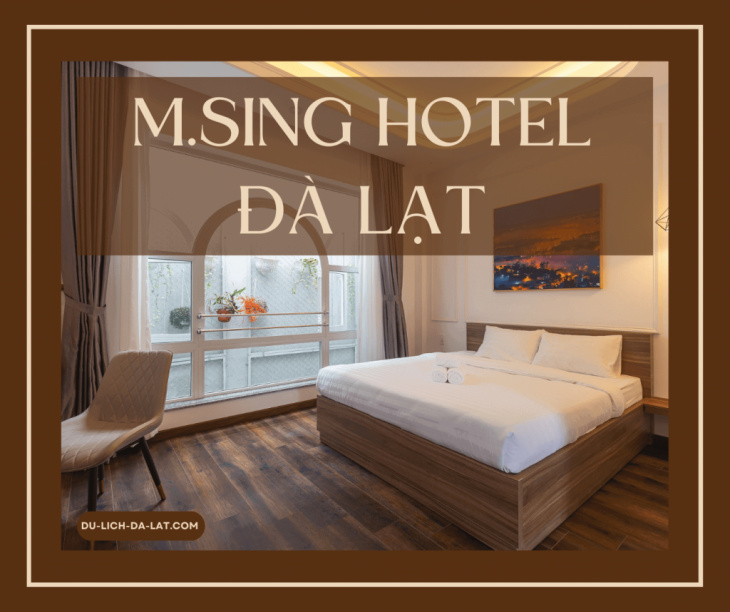 kinh nghiệm, review m.sing hotel dalat mới xây đẹp ”lung linh”