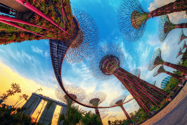 en, gardens by the bay:  full guide to visit & tips to watch the gardens rhapsody light show