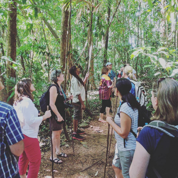 en, important things you should know about the daintree rainforest trekking tours