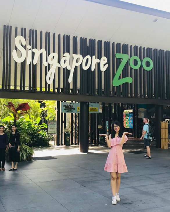 en, how to, singapore zoo: how to get there and guides on what to do for first-timers