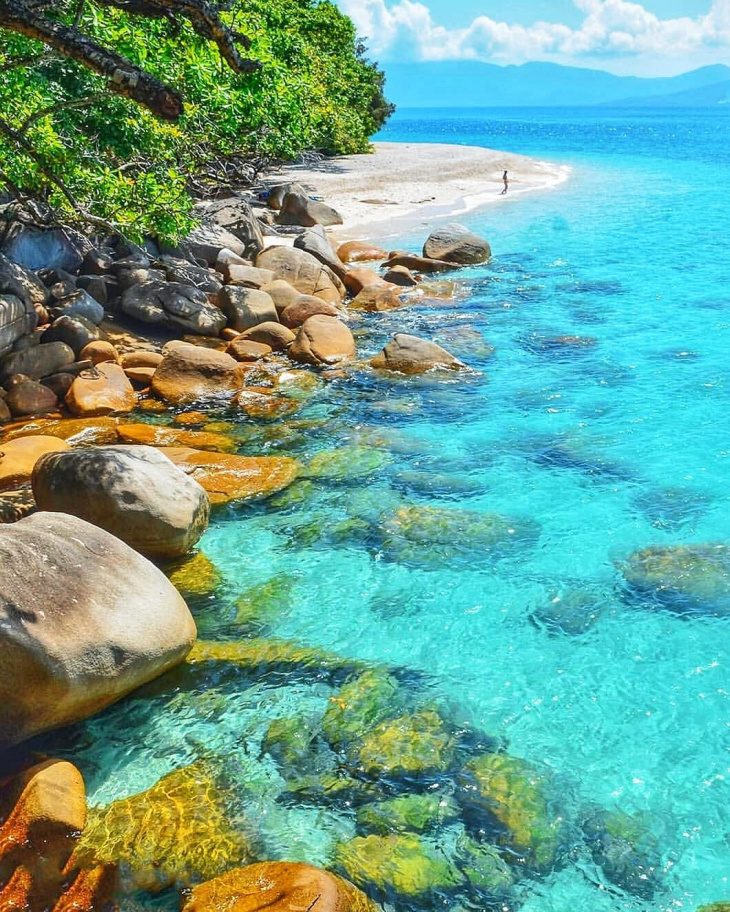 en, where to go snorkeling in cairns: the great barrier reef guide
