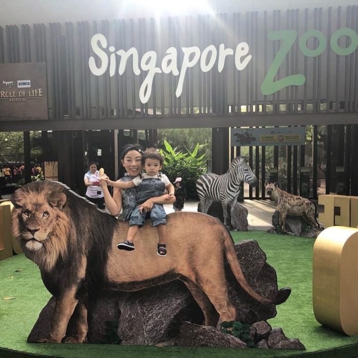 bí kíp du lịch singapore, du lịch singapore, sở thú singapore: hướng dẫn chi tiết tham quan trải nghiệm thu hút du khách nhất ở singapore