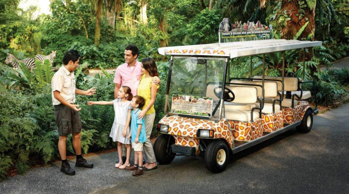 bí kíp du lịch singapore, du lịch singapore, sở thú singapore: hướng dẫn chi tiết tham quan trải nghiệm thu hút du khách nhất ở singapore