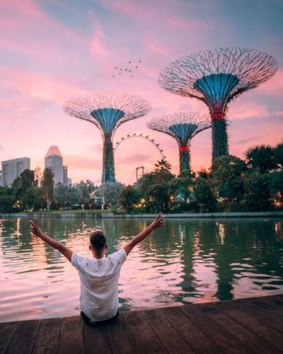 bí kíp du lịch singapore, kinh nghiệm du lịch singapore, amazon, du lịch singapore tự túc: những kinh nghiệm mới nhất bạn không thể bỏ qua