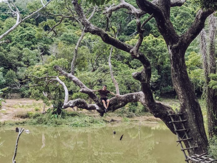 bà nà hills, đà nẵng, du lịch đà nẵng, du lịch hội an, du lịch miền trung, du lịch việt nam, inspitrip hội an, thổ địa hội an, thổ địa miền trung, việt nam, 100 điểm du lịch đà nẵng mới nhất năm 2019