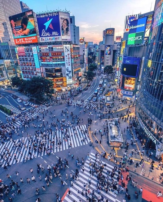 du lịch nhật bản, kyoto, osaka, tokyo, trải nghiệm nhật bản, 12 điều cần lưu ý khi du lịch nhật bản tự túc