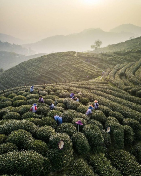 bắc kinh, hải nam, hàng châu, hồ nam, khám phá trung quốc, quảng châu, tây an, thượng hải, tô châu, trải nghiệm trung quốc, 8 kinh nghiệm du lịch trung quốc bạn nên biết