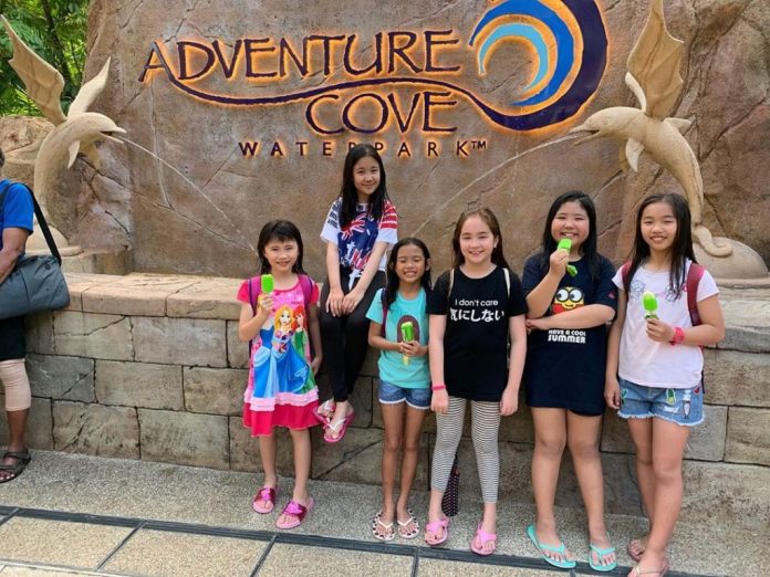 du lịch singapore, adventure cove waterpark: trải nghiệm công viên nước hiện đại bậc nhất singapore
