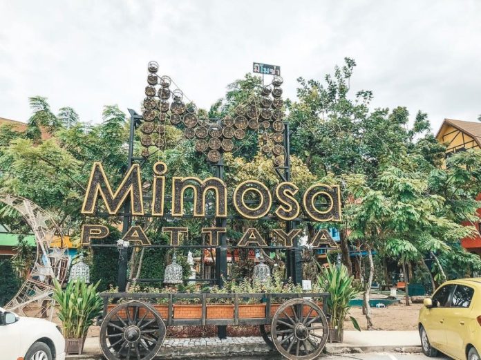 Mimosa Pattaya: Lạc Trôi Đến Phố Tình Yêu Lãng Mạn
