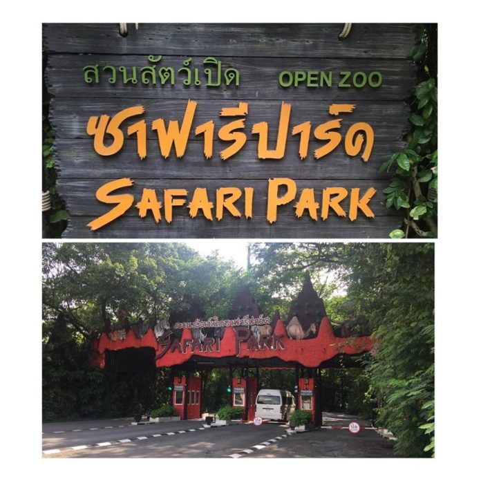 du lịch bangkok 2019, du lịch thái lan, inspitrip thái lan, thổ địa thái lan, safari world bangkok: vườn thú mở lớn nhất thái lan